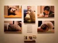 写真展に初出展しました