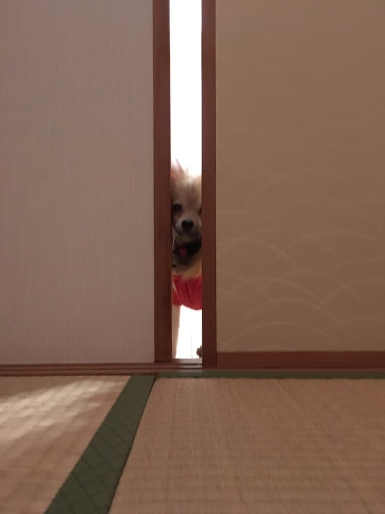 かわいいものあつめ-Sourire web studio
